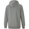 PUMA Essentials Big Logo Terry-Hoodie Herren