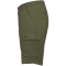 ICEPEAK Anzio Outdoorshorts Herren