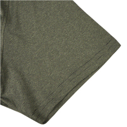 ICEPEAK Bridgton Poloshirt Herren 513 - light green S