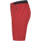 ICEPEAK Baxter Outdoorshorts Herren 660 - cranberry 46