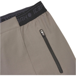 ICEPEAK Baxter Outdoorshorts Herren 276 - granite 48