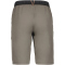 ICEPEAK Baxter Outdoorshorts Herren 276 - granite 48
