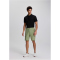 ICEPEAK Berwyn Outdoorshorts Herren 513 - light green 48