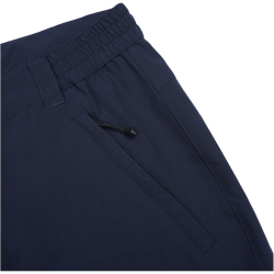 ICEPEAK Berwyn Outdoorshorts Herren 390 - dark blue 50