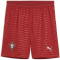 PUMA FPF Portugal Shorts 2026 Herren