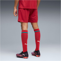 PUMA FPF Portugal Shorts 2026 Herren 01 - club red/green...