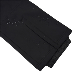 ICEPEAK Exira Softshell Skihose Damen 990 - basic black 38