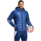 adidas Tiro 24 Winterjacke Herren