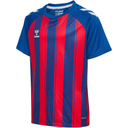 hummel hmlMATCH Striped Fußball Trikot Kinder