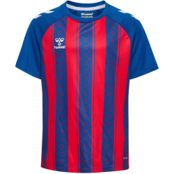 hummel hmlMATCH Striped Fußball Trikot Kinder