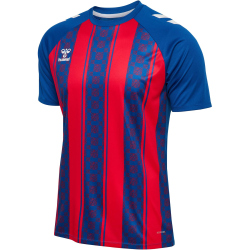hummel hmlMATCH Striped Fußball Trikot