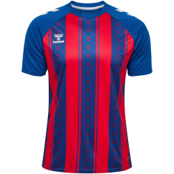 hummel hmlMATCH Striped Fußball Trikot