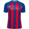 hummel hmlMATCH Striped Fußball Trikot