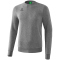 erima Sweatshirt grey-melange 3XL