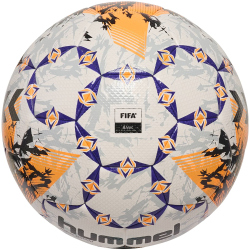 hummel hmlINSPIRE Elegant Fußball Trainingsball...