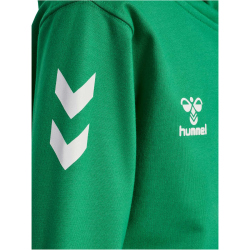 hummel hmlGO 2.0 Chevron Zip Hoodie Kinder 6235 - jelly...