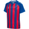 hummel hmlMATCH Striped Fußball Trikot Kinder 7358 - true blue/true red 116
