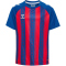 hummel hmlMATCH Striped Fußball Trikot Kinder 7358 - true blue/true red 116
