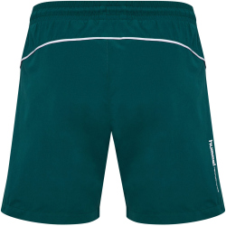 hummel hmlPULSE Badeshorts 6712 - june bug S