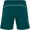 hummel hmlPULSE Badeshorts 6712 - june bug S