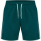hummel hmlPULSE Badeshorts 6712 - june bug S