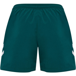 hummel hmlPULSE Badeshorts 6712 - june bug S