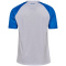 hummel 1.FC Magdeburg 60-Jahre Sondertrikot 2025/26 9548 - white/princess blue S