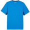 PUMA KSI Island Heimtrikot 2026 Herren