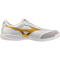 Mizuno Morelia Sala Pro IN Fußballschuhe 50 - white/football gold/galaxy silver 39
