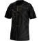 Mizuno Active DryAeroFlow Graphic Laufshirt Herren 99 - taniori L