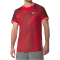 Mizuno Stargazer Shadow Graphic Tennisshirt Herren 63 - sun dried tomato M