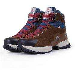 DACHSTEIN Wildspitze GTX 1925 Wanderschuhe Damen