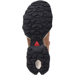 DACHSTEIN Wildspitze GTX 1925 Wanderschuhe Damen
