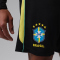 NIKE Jordan Brasilien Academy Pro Dri-FIT Shorts Herren
