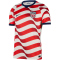 NIKE USA Stadium Dri-FIT Heimtrikot Herren