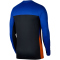 NIKE Inter Mailand Stadium Dri-FIT Special Edition langarm Trikot Herren