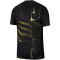 NIKE Paris Saint-Germain Match Dri-FIT ADV Special Edition 5th Trikot Herren