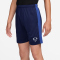 NIKE Academy+ Dri-FIT Fußball Shorts Kinder 492 - blue void/game royal/game royal M (137-147 cm)