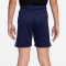 NIKE Academy+ Dri-FIT Fußball Shorts Kinder 492 - blue void/game royal/game royal M (137-147 cm)