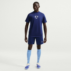 NIKE Academy+ Dri-FIT Fußball Shorts Herren 492 - blue void/game royal/game royal XS