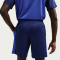 NIKE Academy+ Dri-FIT Fußball Shorts Herren 492 - blue void/game royal/game royal XS