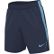 NIKE Strike Dri-FIT Fußball Shorts Herren 410 - midnight navy/vivid sky/vivid sky S