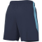 NIKE Strike Dri-FIT Fußball Shorts Herren 410 - midnight navy/vivid sky/vivid sky S