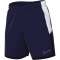 NIKE Academy 25 Dri-FIT Fußball Shorts Herren 492 - blue void/white/black/pinksicle L