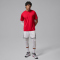 NIKE Jordan Sport Essentials Dri-FIT T-Shirt Herren 687 - gym red S