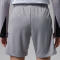 NIKE Paris Saint-Germain Strike Dri-FIT Special Edition 5th Shorts Kinder 079 - atmosphere grey/black/black XS (122-128 cm)