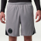 NIKE Paris Saint-Germain Strike Dri-FIT Special Edition 5th Shorts Herren 080 - atmosphere grey/black/black M