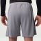NIKE Paris Saint-Germain Strike Dri-FIT Special Edition 5th Shorts Herren 080 - atmosphere grey/black/black M