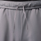 NIKE Paris Saint-Germain Strike Dri-FIT Special Edition 5th Shorts Herren 080 - atmosphere grey/black/black M
