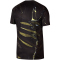 NIKE Paris Saint-Germain Stadium Dri-FIT Special Edition 5th Trikot Herren 011 - black/white/black L
